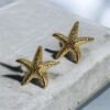 Σκουλαρίκια ατσάλινα Αστερίας σφυρήλατος χρυσός 3,7 εκ